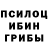 Галлюциногенные грибы Psilocybine cubensis Mustafa Bekgoz
