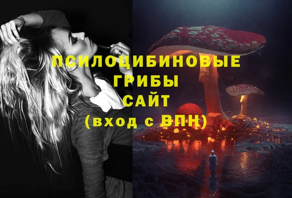 ECSTASY Семикаракорск