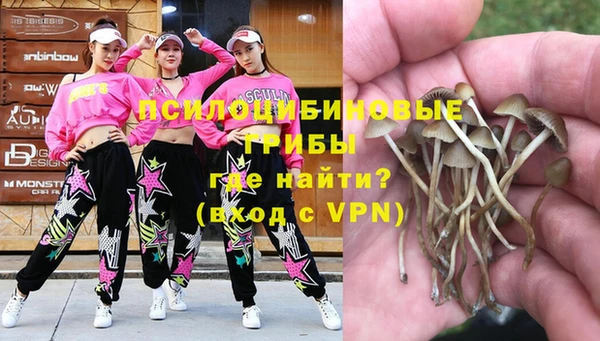 твердый Бугульма