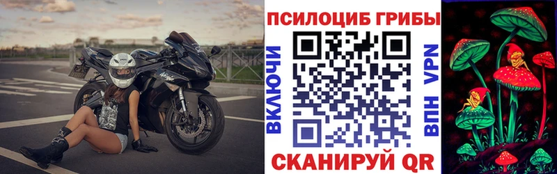Псилоцибиновые грибы GOLDEN TEACHER  Можайск 
